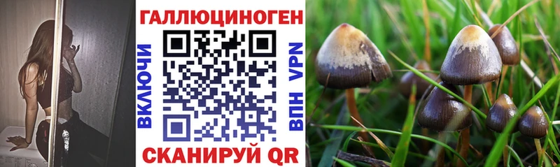 Купить где  Удомля  Галлюциногенные грибы мухоморы 